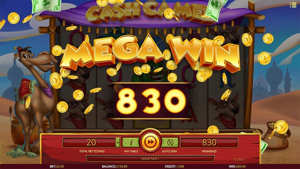 Best Casino Games To Win Money