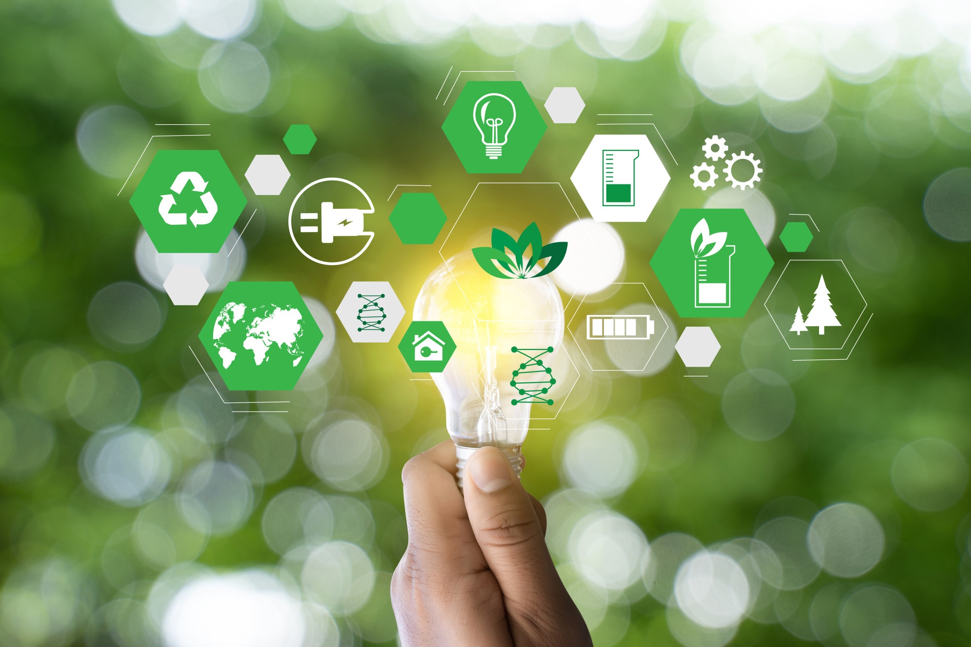 Eco-friendly Betting: Sustainable Practices In iGaming