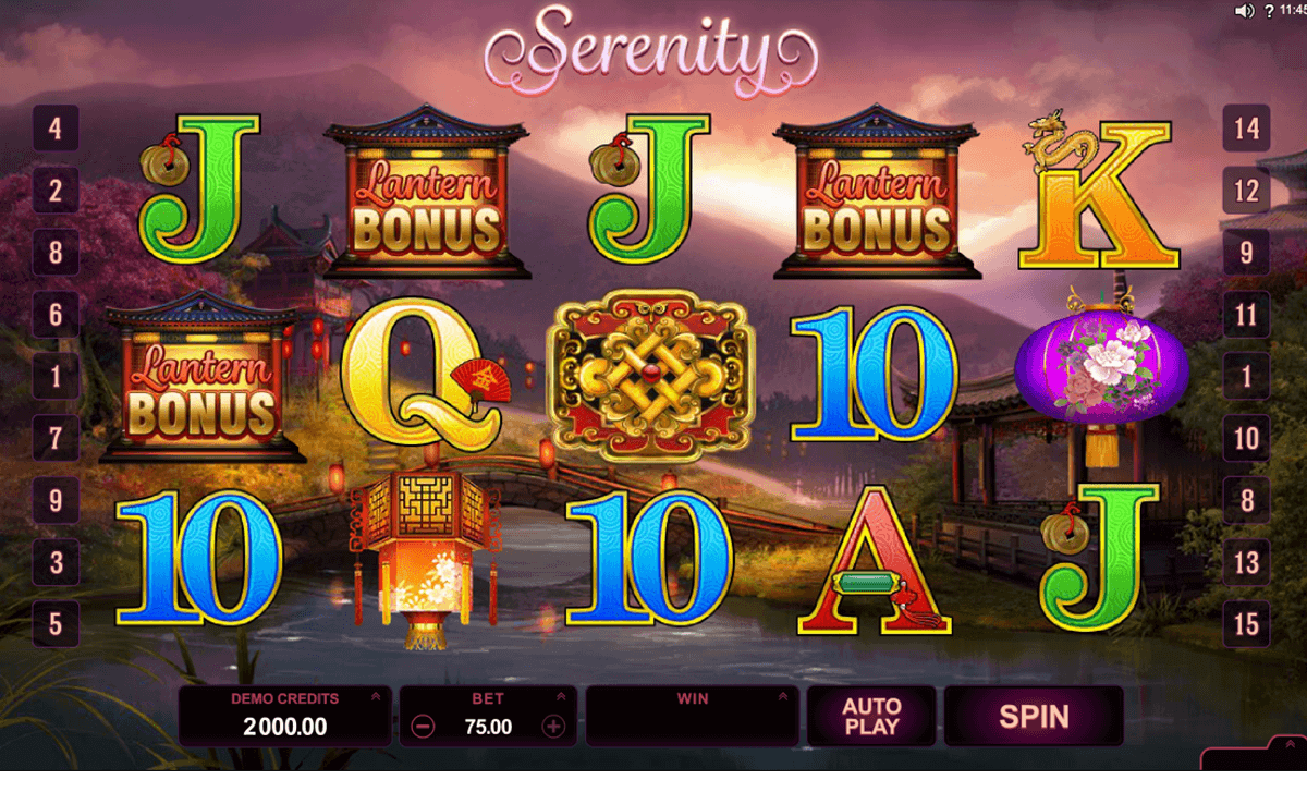 Microgaming Slot